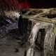 Illustration for article titled Clumsy bear falls on police car, causes highway fire, flees the scene
